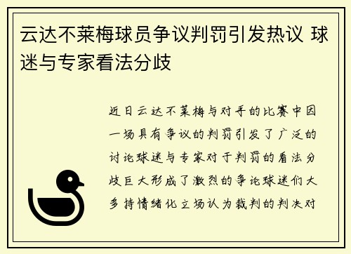 云达不莱梅球员争议判罚引发热议 球迷与专家看法分歧 云达不莱梅球员争议判罚引发热议 球迷与专家看法分歧